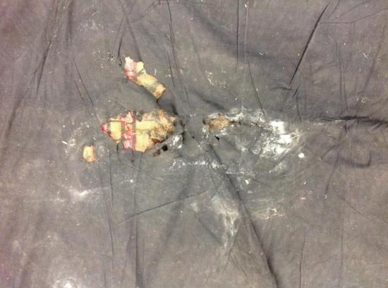 rotted-back-cloth-of-needlepoint.jpg rotted-back-cloth-of-needlepoint.jpg